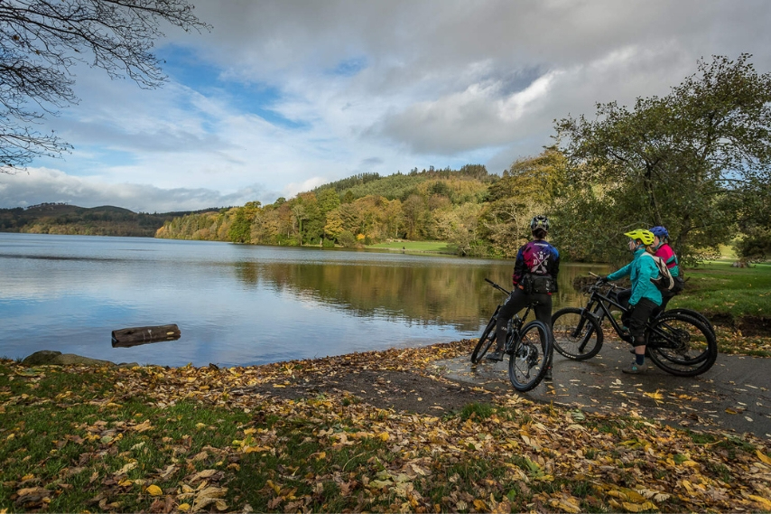 Castlewellan Forest Park in Northern Ireland