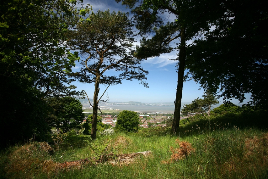 Redburn Country Park in Northern Ireland