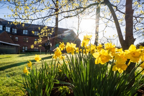 Spring flowers in the gardens at Clandeboye Lodge Hotel during Easter in Northern Ireland