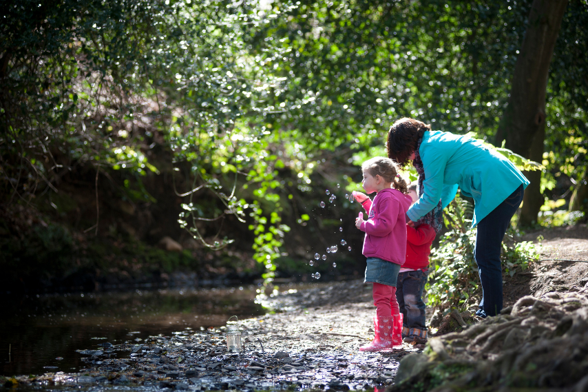 Crawfordsburn Country Park, things to do in Bangor with kids.