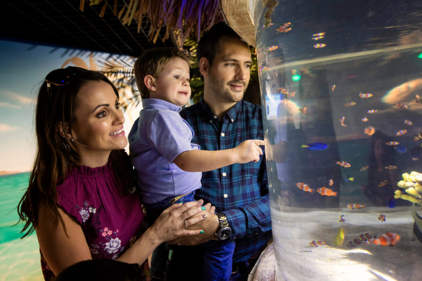 Exploris Aquarium, things to do in Bangor with kids.