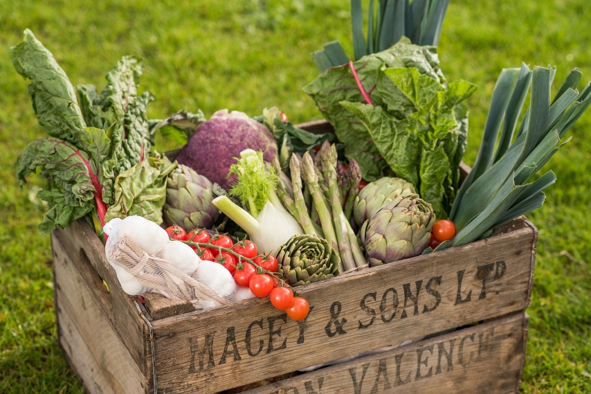 A rustic wooden crate filled with a variety of fresh vegetables on a green grass background, showcasing the type of local produce available at markets in Northern Ireland.