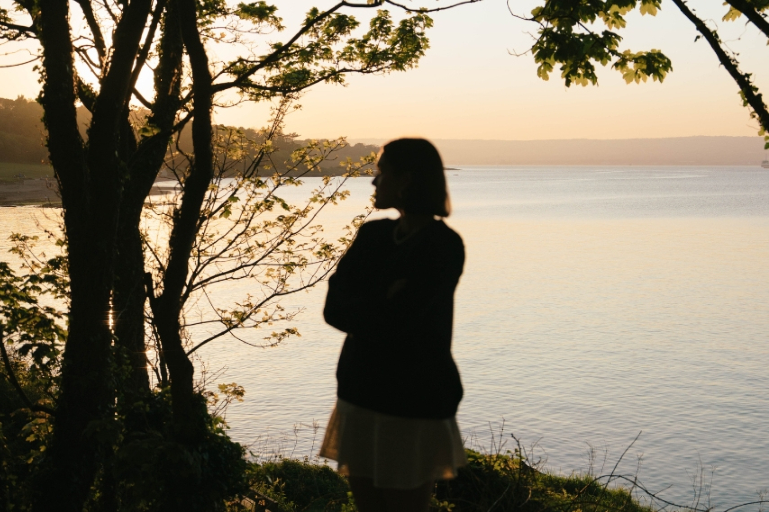 Scenic coastal walk near Bangor overlooking Belfast Lough