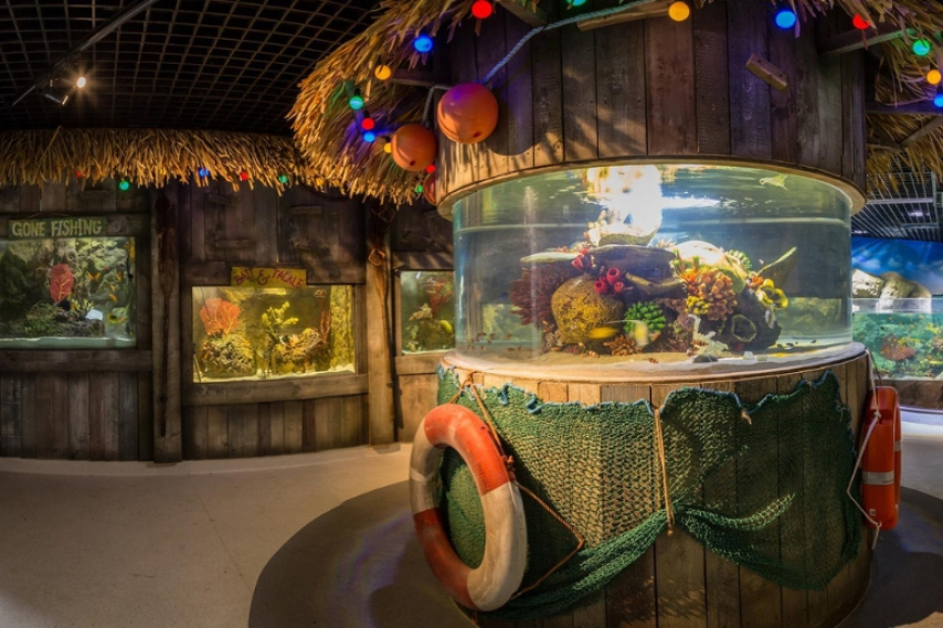 An interactive and educational exhibit inside the Exploris Aquarium, a family-friendly activity among things to do in Bangor, Northern Ireland.